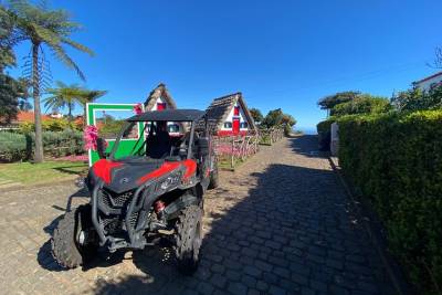 Buggy Driving Experience in Santana