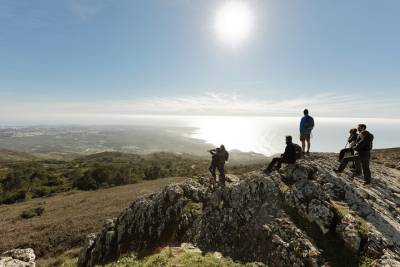 Private Half Day Hiking Tour in Sintra from Lisbon