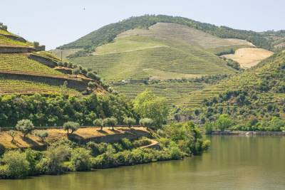Full-Day Douro Valley Wine and Bike Tour from Porto