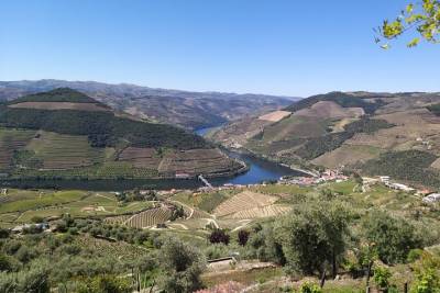 Private Douro Valley Wineries Tour