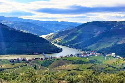 All Inclusive Private Douro Valley - Wine Tasting - Pic-Nic Lunch - Sightseeing