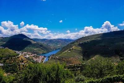 Luxury and Gourmet Douro Valley Experience