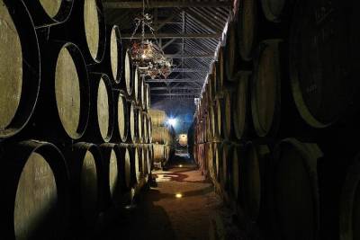 Lisbon - Private Wine Tasting Tour to the Setubal Wine Region