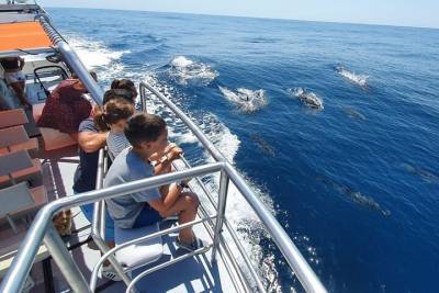 Incredible Dolphin Watching experience on our Family Friendly Catamaran - Lagos
