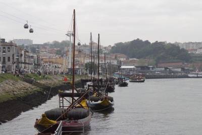 Porto Private Full-Day Tour with Visit and Wine Tasting from Lisbon