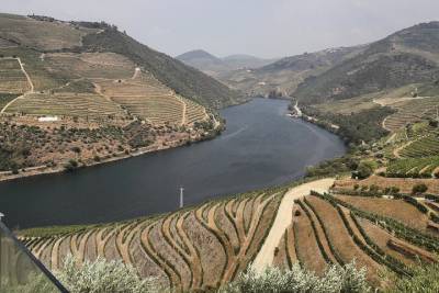 Douro valley day tour with visits/tastings included