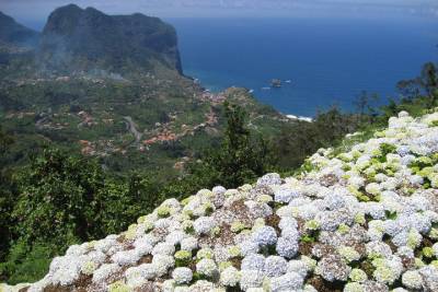 Referta / Castelejo 2-Hour Hike in the North Coast of Madeira