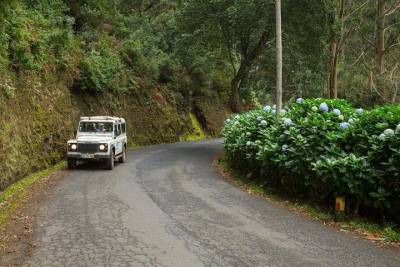 Private Tour: Combo Expedition (Jeep Tour & Levada Walk) - Full Day Tour