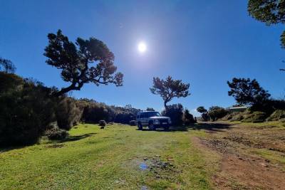 Jeep 4x4 Full Day West, Porto Moniz, Skywalk, Natural swimming pools, waterfalls