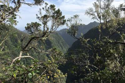 Ribeiro Frio to Portela Levada Walk