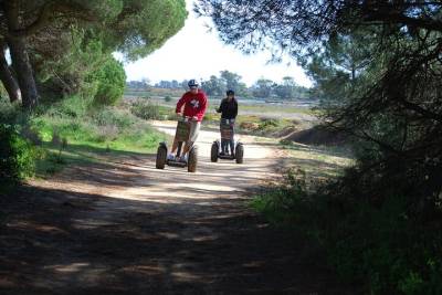 Ria Formosa Natural Park Birdwatching Segway Tour from Faro