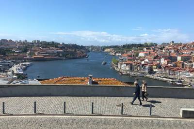 Be a local in Porto - One day private tour from Lisbon