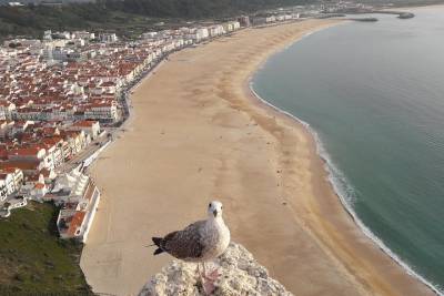 Fátima, Batalha, Nazaré and Óbidos day Tour