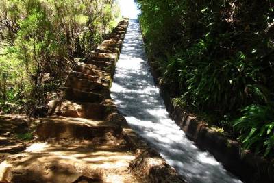 Levada do Alecrim - Rosemary Levada (easy)