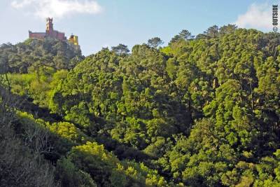 Rock Climbing in Sintra, Lisbon