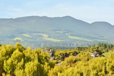 Mistérios Negros Trail: Half Day Tour