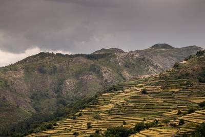 Sistelo Tour - 7 Wonders of Portugal - Villages