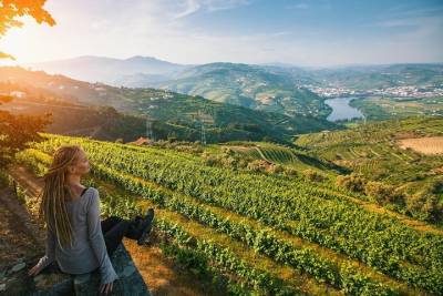 Private Douro Valley Wine Tour: 2 Wine Estates, Lunch and River Cruise