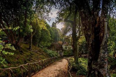 Charming Queimadas & Caldeirao Verde Walk