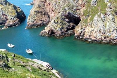 Tour of the West and Berlengas Island