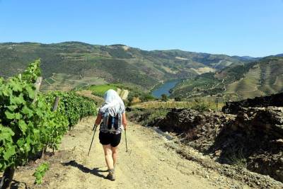 Ervedosa do Douro Walking Tour
