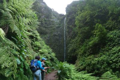 Madeira Levada Walk - Caldeirao Verde