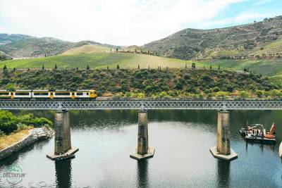 Douro Experience - Boat and Train Ride