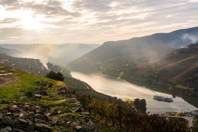 Boat Trip to Régua Through the Douro Valley with Breakfast and Lunch