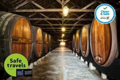 South Portugal Wine Route Private Full Day Tour from Lisbon