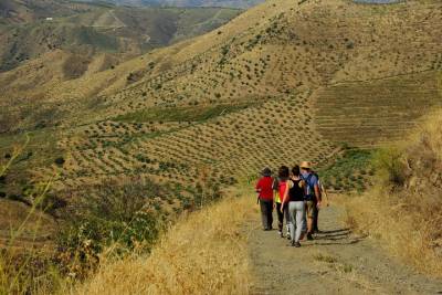 Alto Douro Walk & WineTour