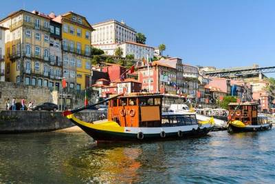Porto city small group full-day tour with wine tasting and cruise in Douro River