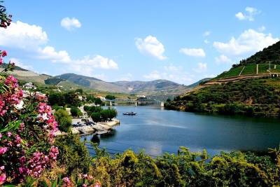 Douro Valley Small-Group Tour with Wine Tasting, Lunch and Optional Cruise.