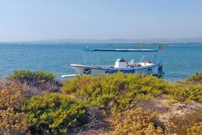 4-Hour Private Boat Tour in Ria Formosa