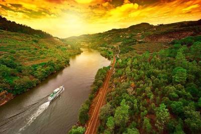 From Porto: Boat Day Trip to Régua with Breakfast, Lunch and return by bus