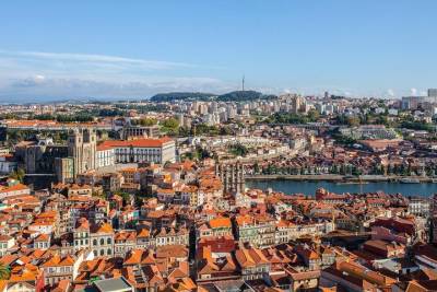 Porto City Tour Half Day - Private