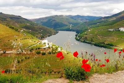 Douro Valley Tour