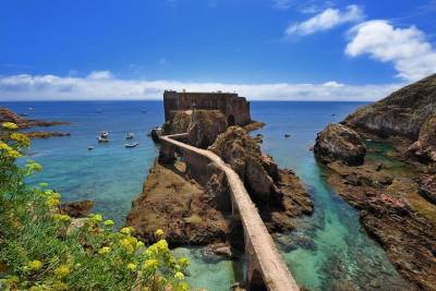 Berlenga Island Small-Group Day Trip from Lisbon