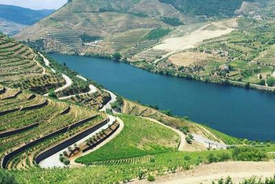 Private Douro Valley Food and Wine Tour From Porto