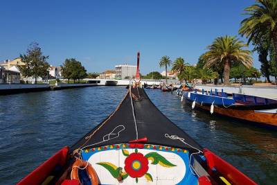 Porto: Aveiro Private Tour Half Day with Moliceiro Cruise