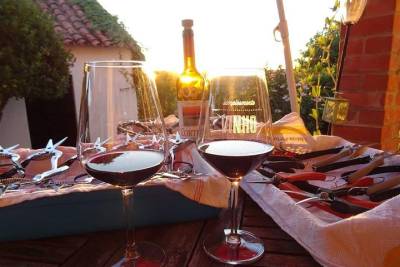 Wine Tasting with food, Óbidos, Alcobaça and Nazare start in Lisbon private tour