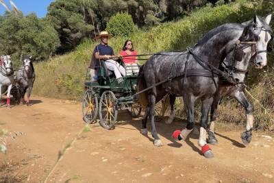 Private Horse Carriage Tour on the Mountain in Palmela and Visit to the Winery
