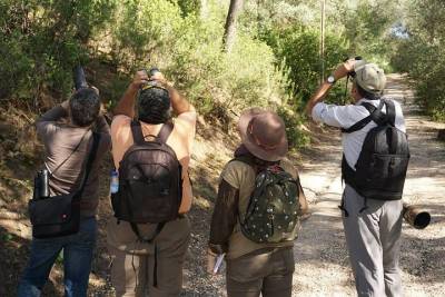 Birdwatching in Lisbon