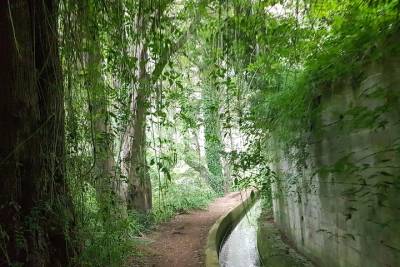 Private Guided Walk Levada Monte to Palheiro Ferreiro