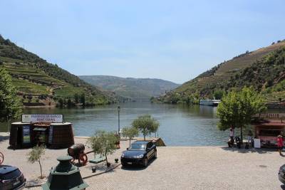 Douro Valley View Experience