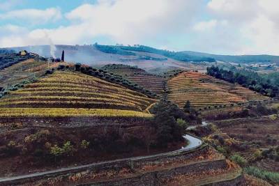 Douro Valley Premium Tour from Porto with lunch, wine tasting & river cruise