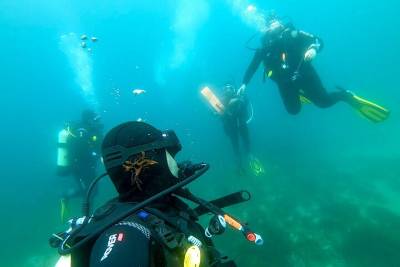 Try Scuba Diving in Arrabida Natural Park (Near Lisbon) with pictures