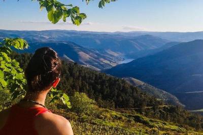 Off The Beaten Track Douro Valley Tour - Private Tour - All Included