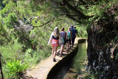 Full Day Tour in Porto Moniz with the Locals