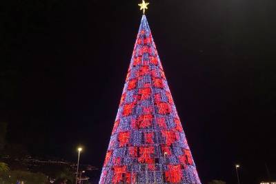 Private Funchal Christmas Light Tour