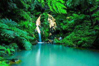 Private Excursion to the Termas de São Miguel